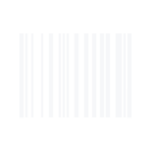 Barcode Icon