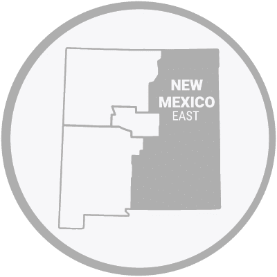Eastern New Mexico Map Icon